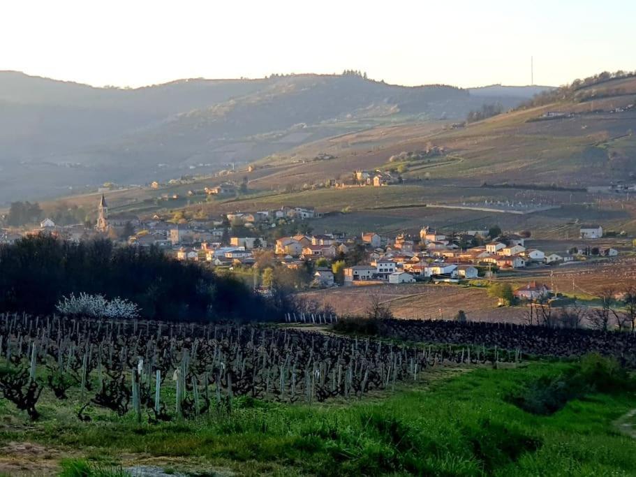La Chapelle-de-Guinchay Au Coeur Des Vignes Moulin A Vent 아파트 외부 사진